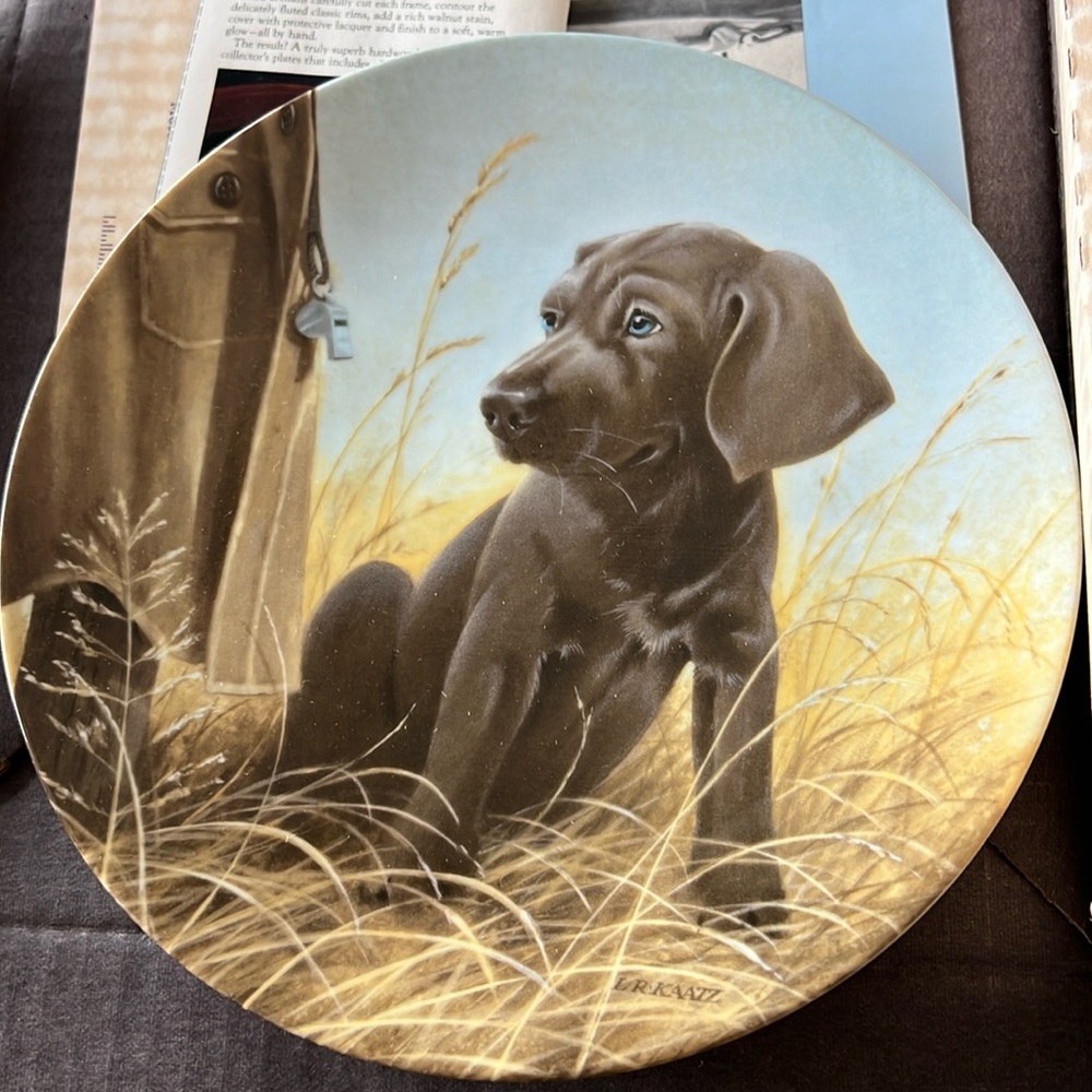 Vintage Edwin M Knowles China “Command Performance - The Weimaraner”